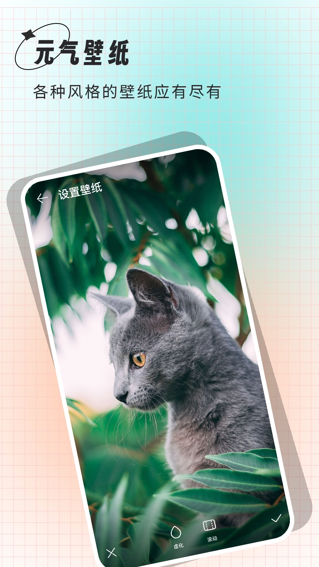 克拉壁纸标准版图4