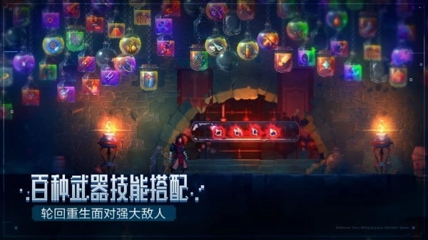 dead cells国际版