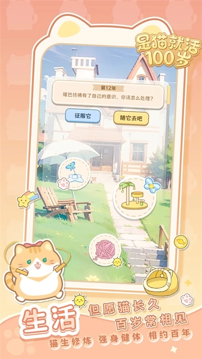 是猫就活100岁游戏