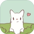 猫和汤