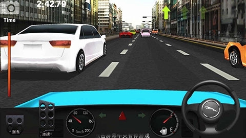 真实驾驶专业版手机下载