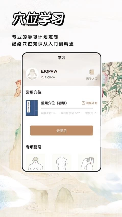 中医经络穴位图2