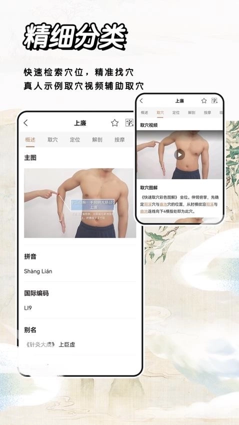 中医经络穴位图3