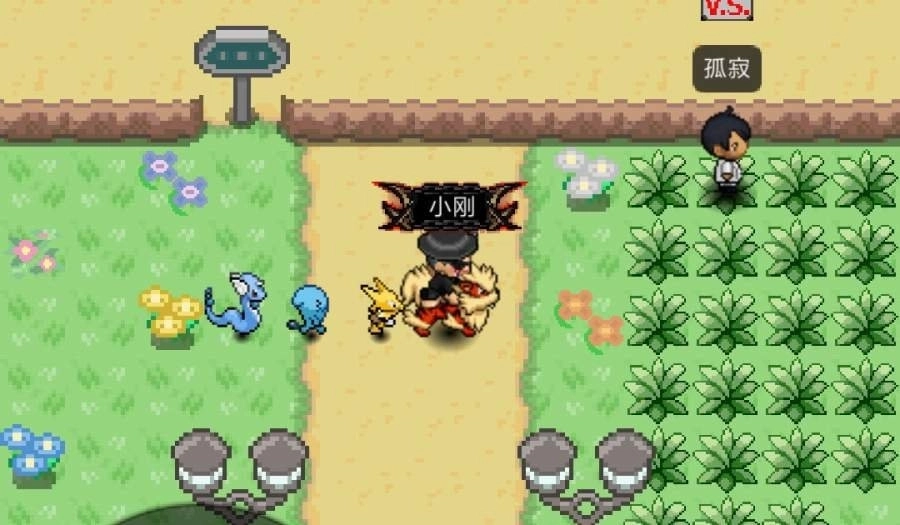 PokePlus最新下载