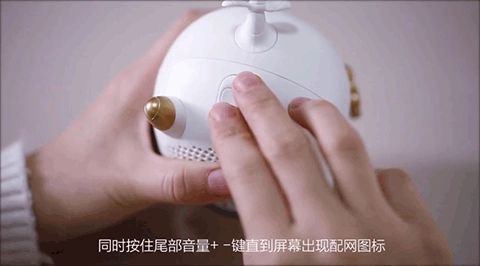 猪小飞智能机器人配网图标显示界面
