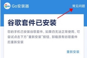 Go安装器正式版下载