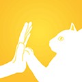 友猫最新版