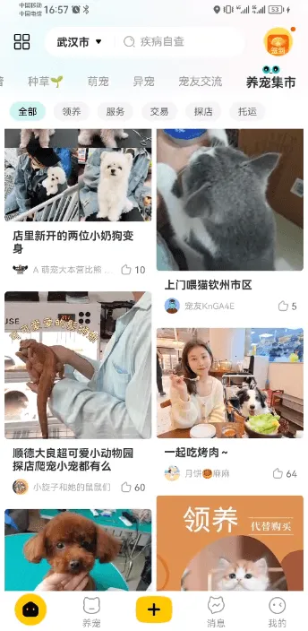 宠胖胖(宠物服务平台)  手机版