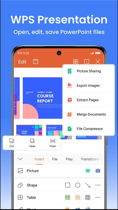 wpsoffice精简版
