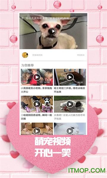 最爱韩剧