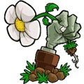植物大战僵尸95噩梦版