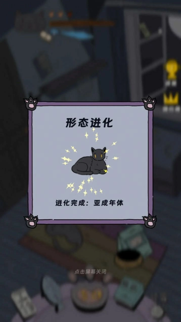 猫猫喵喵图2