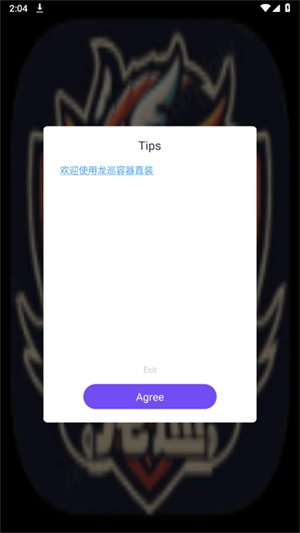 龙巡容器图2