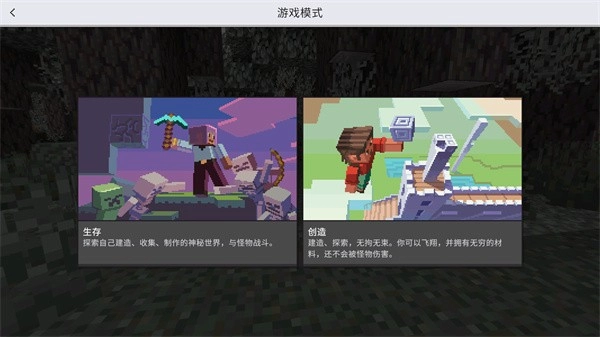 我的世界基岩版图3