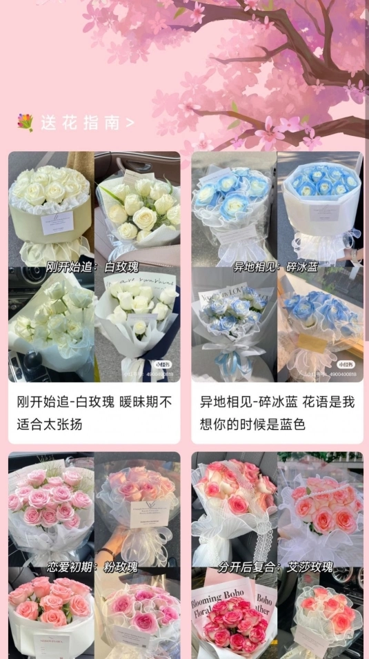 樱花充电图2