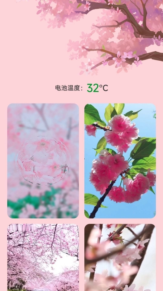 樱花充电图1