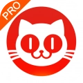 猫眼专业版-实时票房