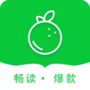 青桔小说官方版