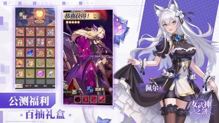 女武神之剑官网版(3)