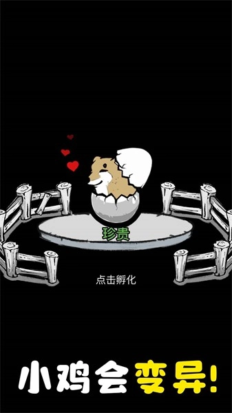 养鸡时长两年半(4)