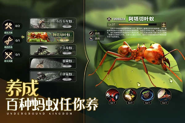 小小蚁国最新版图2