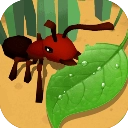 蚂蚁进化3D免广告版