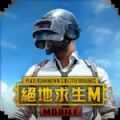 pubg国际服3.80最新版本