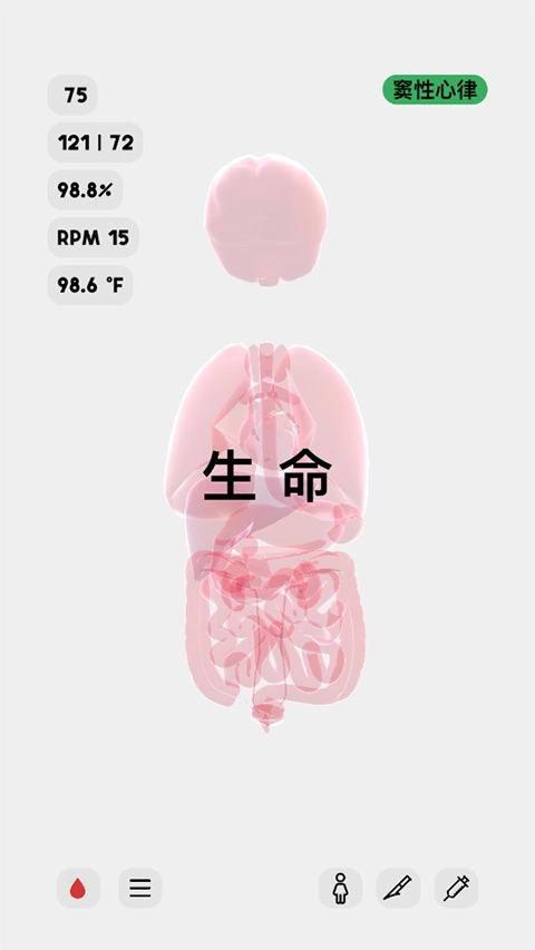 生命人体模拟器中文版图1