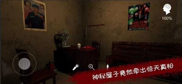 孙美琪疑案王爱国(1)
