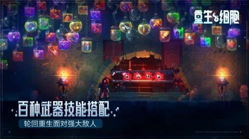 重生细胞全解锁版(1)