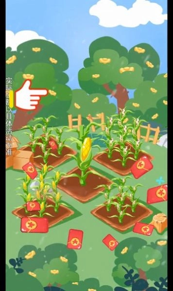 飘香玉米田红包多多图3