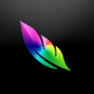 med最新版