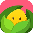 美柚孕期 v6.0.5