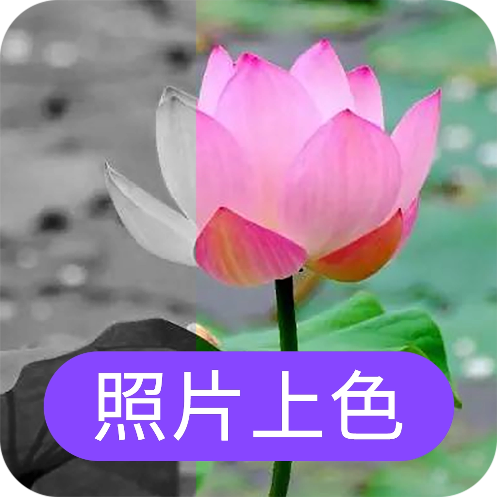 照片上色  v23.5.10