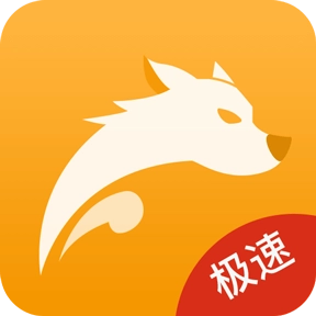 视频加速狗