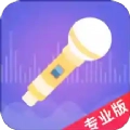 语聊音频变声器 v5.5.2