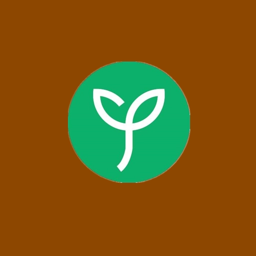 金童养生安卓版 v1.17.06.15