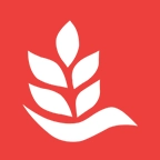麦芽乐英语 v1.0.5