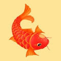 红鱼资讯红包版