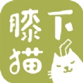 膝下猫 v1.02