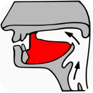 英语自然拼读课堂  v1.2