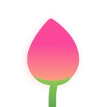 憨憨时间管理 v2.0.1