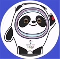 弹力冰墩墩 v3