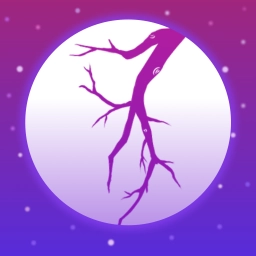 夜月直播 v6.0.3