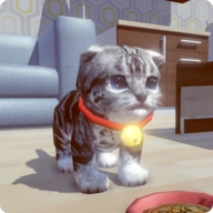 可爱的小猫模拟器 v1.6