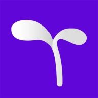 豆芽账软件  v2.0.4