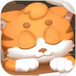 我的皮皮猫