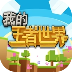 我的王者世界