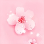 桃花视频 v6.6.00