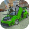狂野道路飞车 v1.0.5